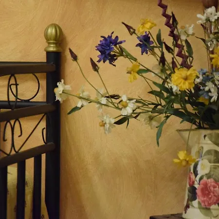 A Casa Di Betty Apartment Acqui Terme
